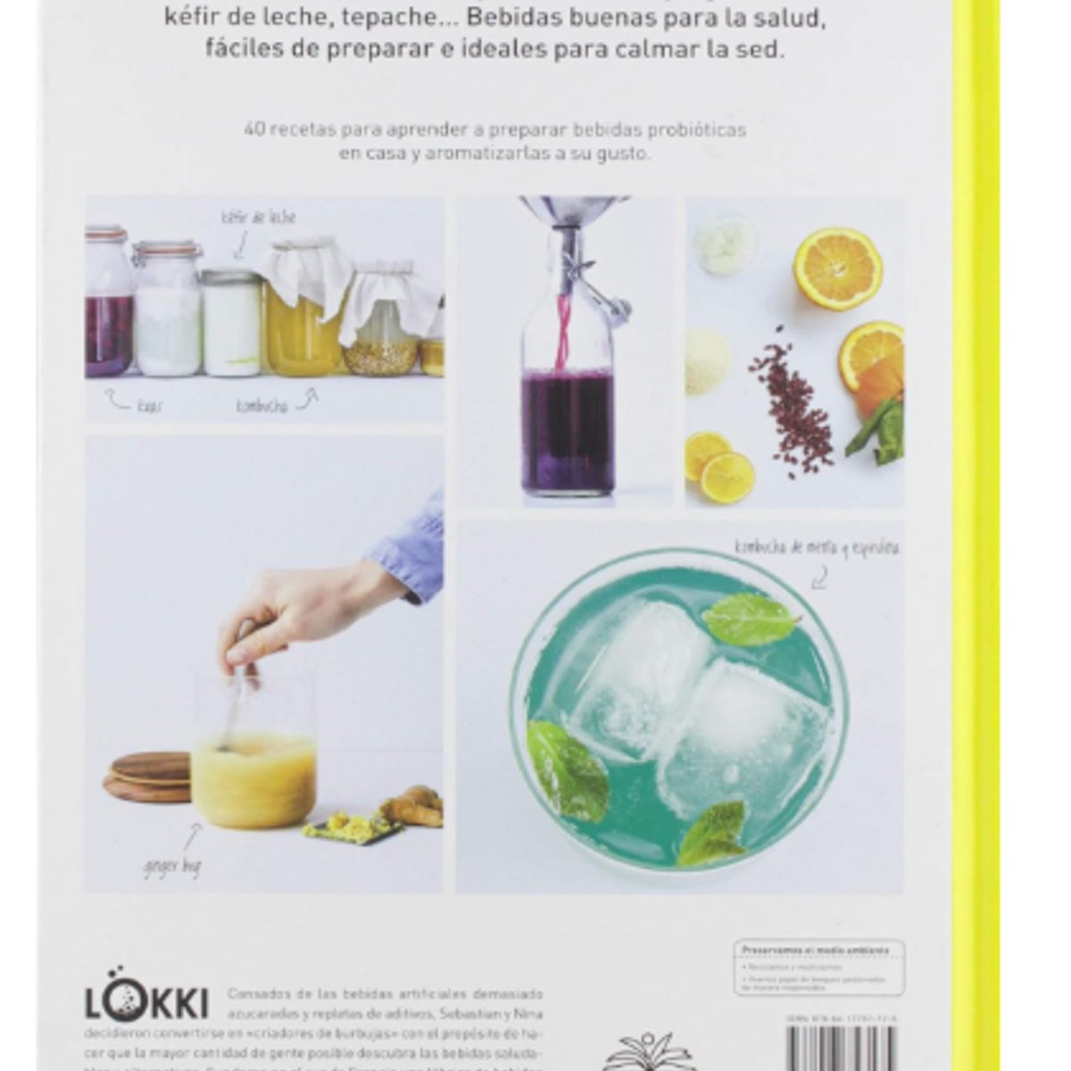 GENERICO - Kéfir kombucha y otras bebidas probióticas