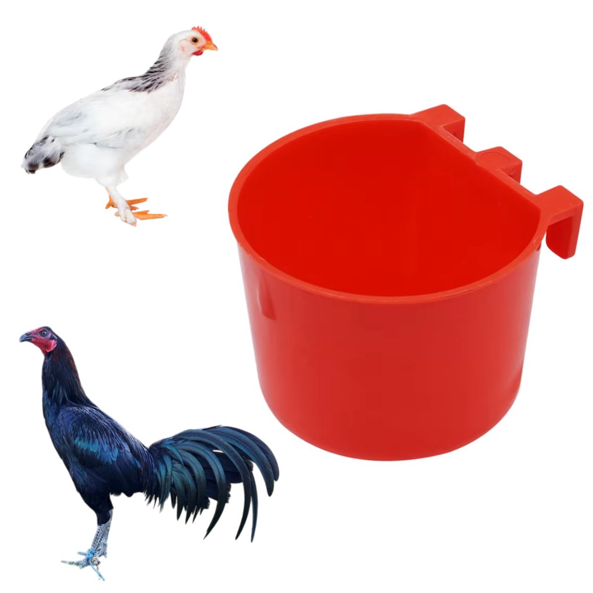 GENERICO - PACK X6 COMEDERO INDIVIDUAL REDONDO PARA AVE GALLO PIQUERO