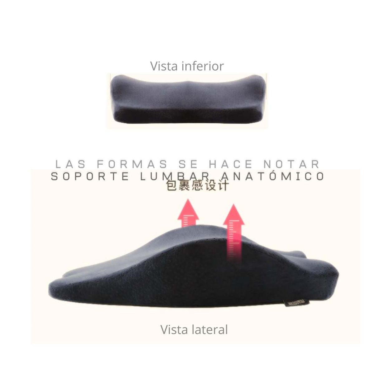 CHECAGOODS - COMBO CLÁSICO Cojín Antihemorroides y Espaldar  Checa Goods