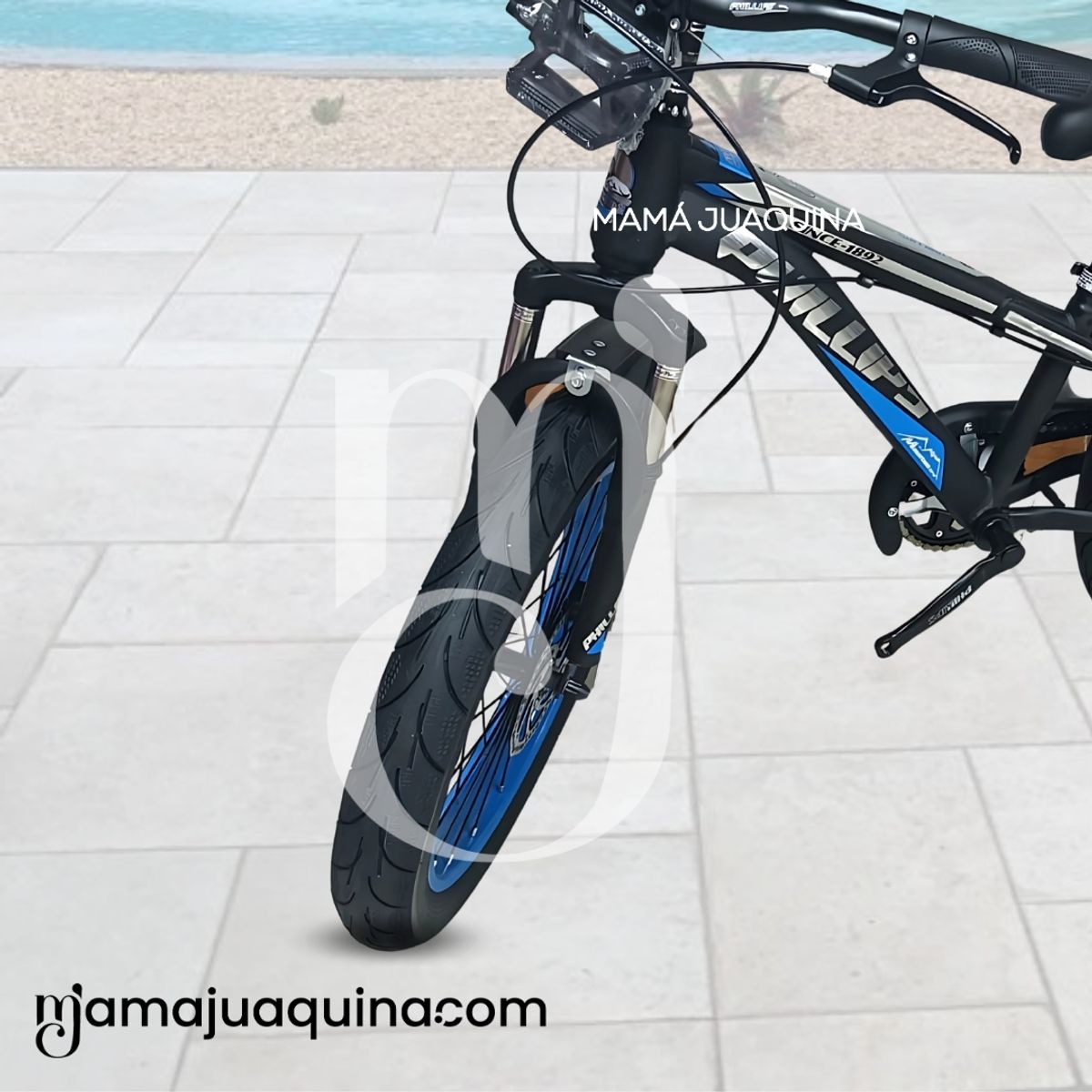 Velox - Bicicleta Deportiva Aro 16 «PHILLIPS» Llantas Anchas Blue
