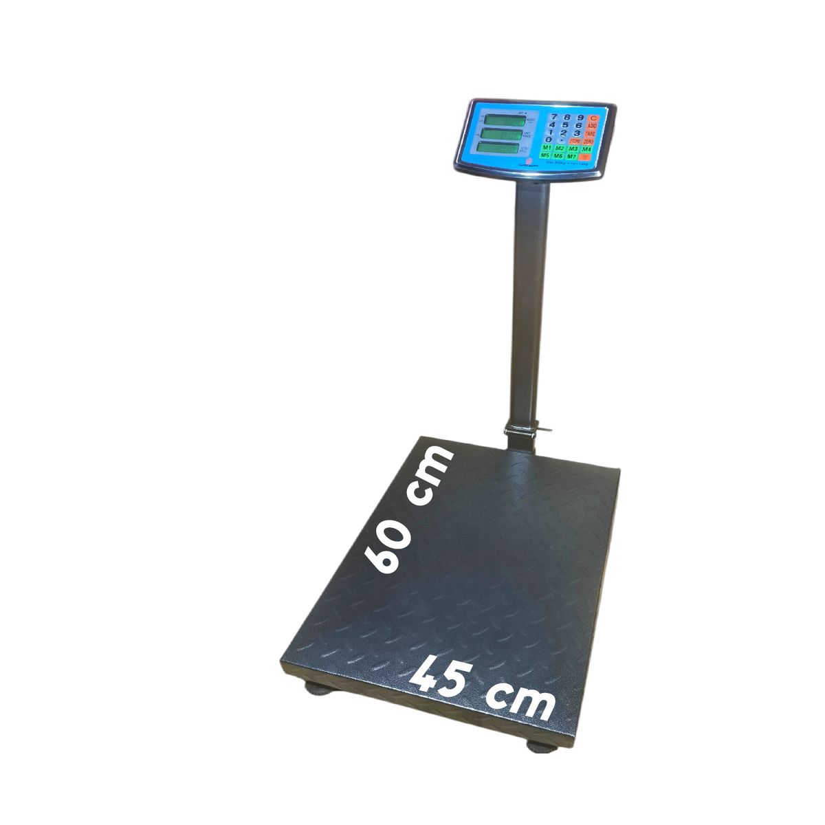 GENERICO - Balanza Industrial 300 Kg HIPOCAMPO con Plataforma Grande HP-300KG-1