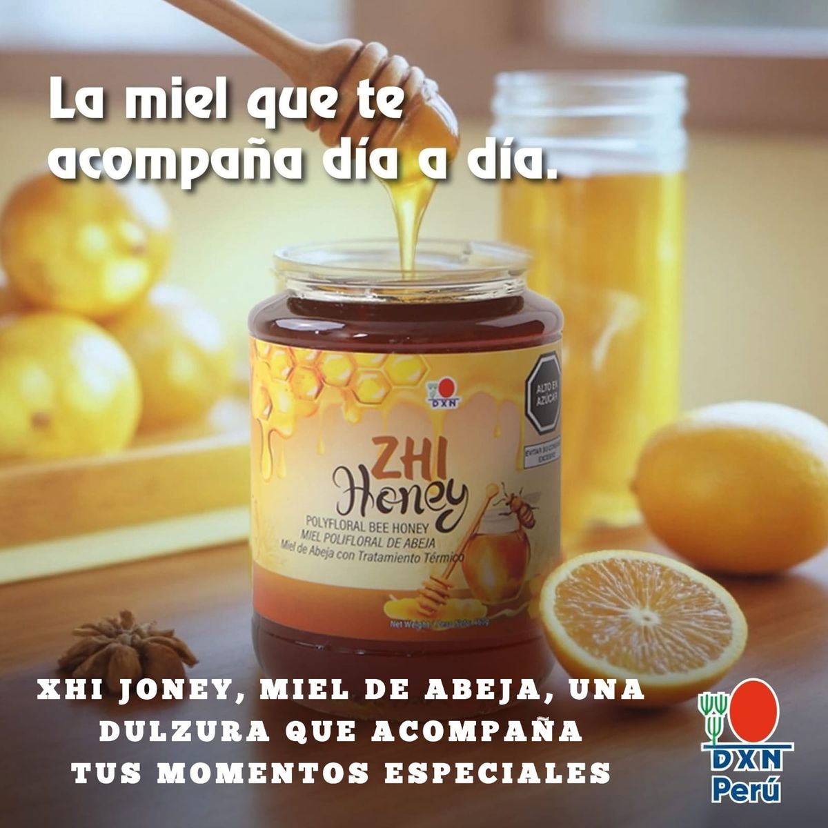 DXN - DXN Miel de Abeja Natural Multi-Floral -Zhi Honey 460gr