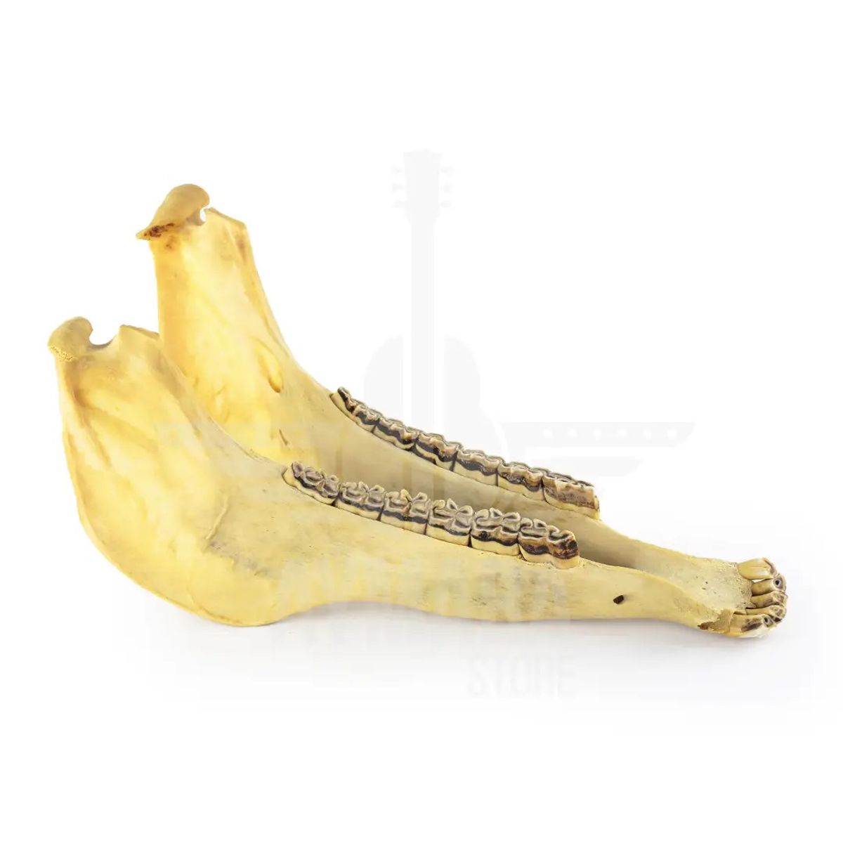 GENERICO - QUIJADA PARA USO DE PERCUSION NACIONAL