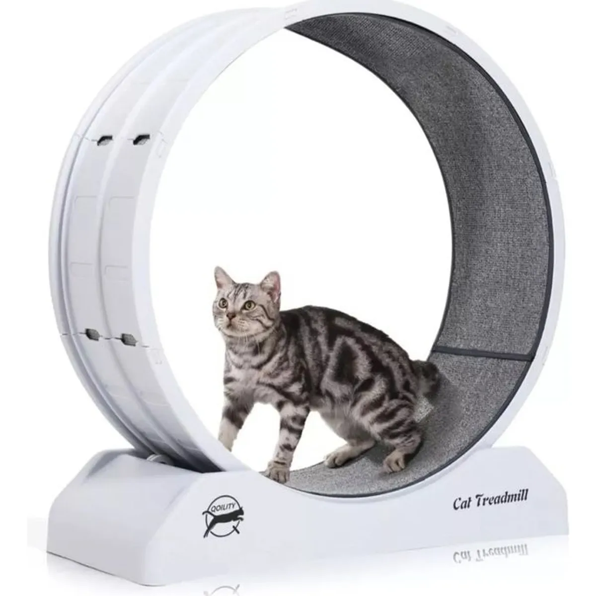 PELUDINES - Rueda De Ejercicios Para Gatos Rueda Entrenamiento Xl 80cm