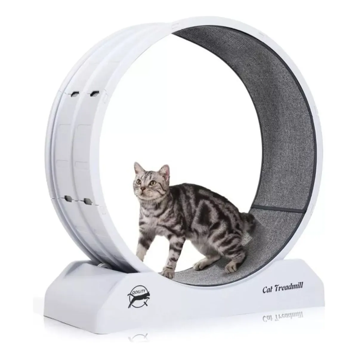 PELUDINES - Rueda De Ejercicios Para Gatos Rueda Entrenamiento Xl 80cm