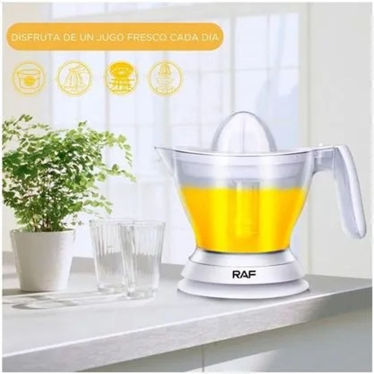 OEM - Exprimidor Eléctrico de Cítricos Máquina Exprimidora con Tapa Cónica