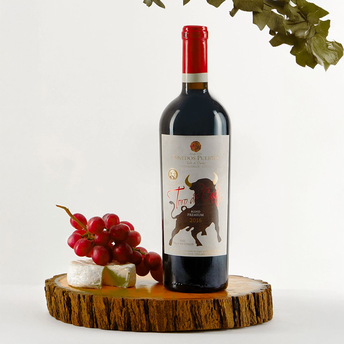 VIÑEDOS PUERTAS - Vino Blend Premium Toro de Casta 2016 - Viñedos Puertas