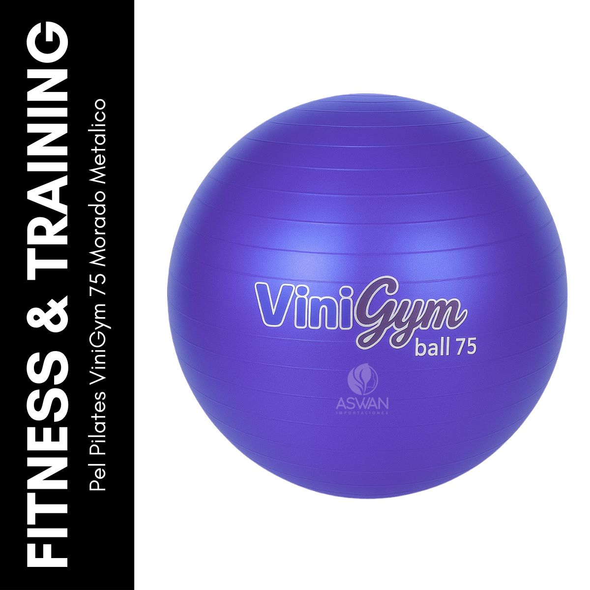 GENERICO - Pelota Pilates ViniGym 75 Morado Metalico