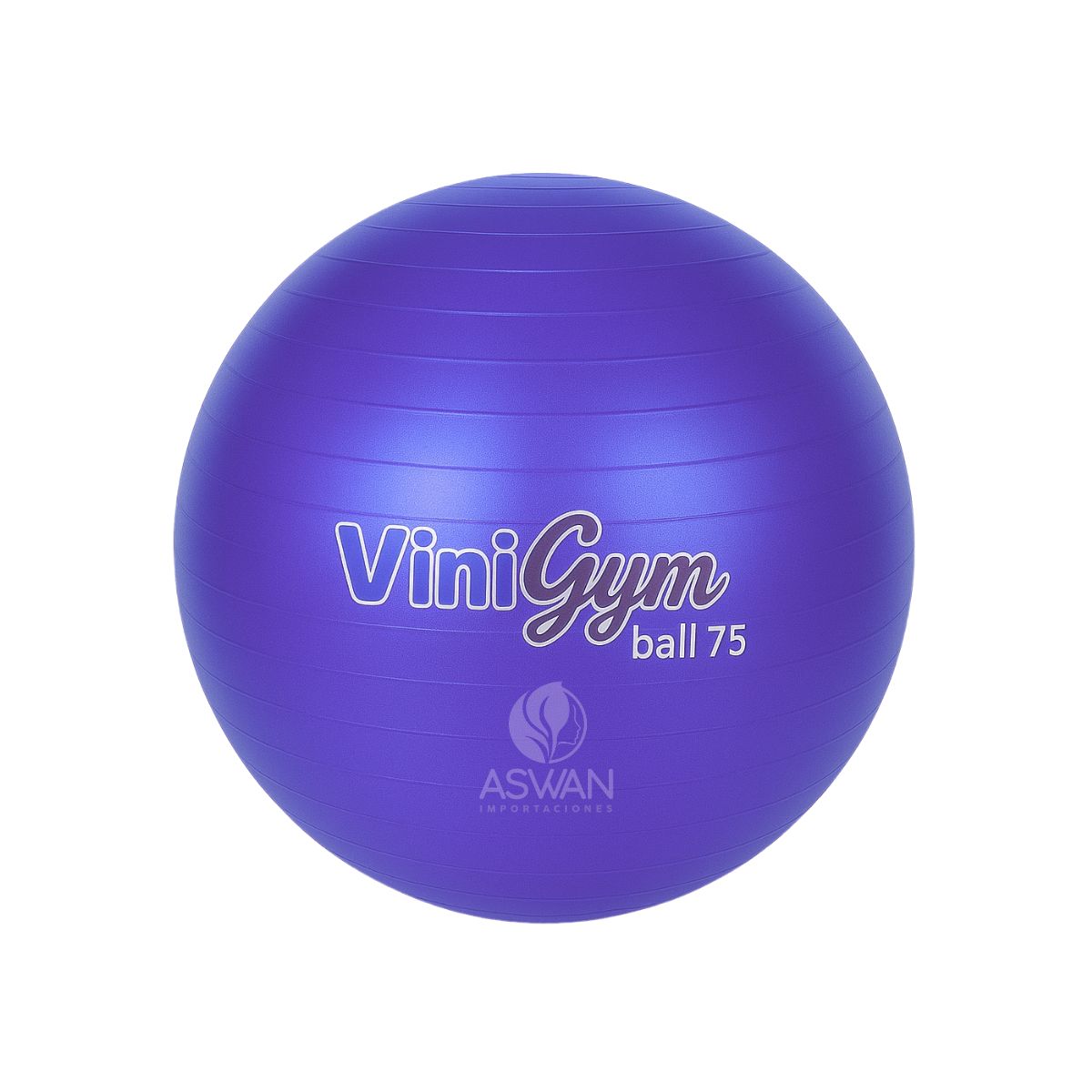 GENERICO - Pelota Pilates ViniGym 75 Morado Metalico