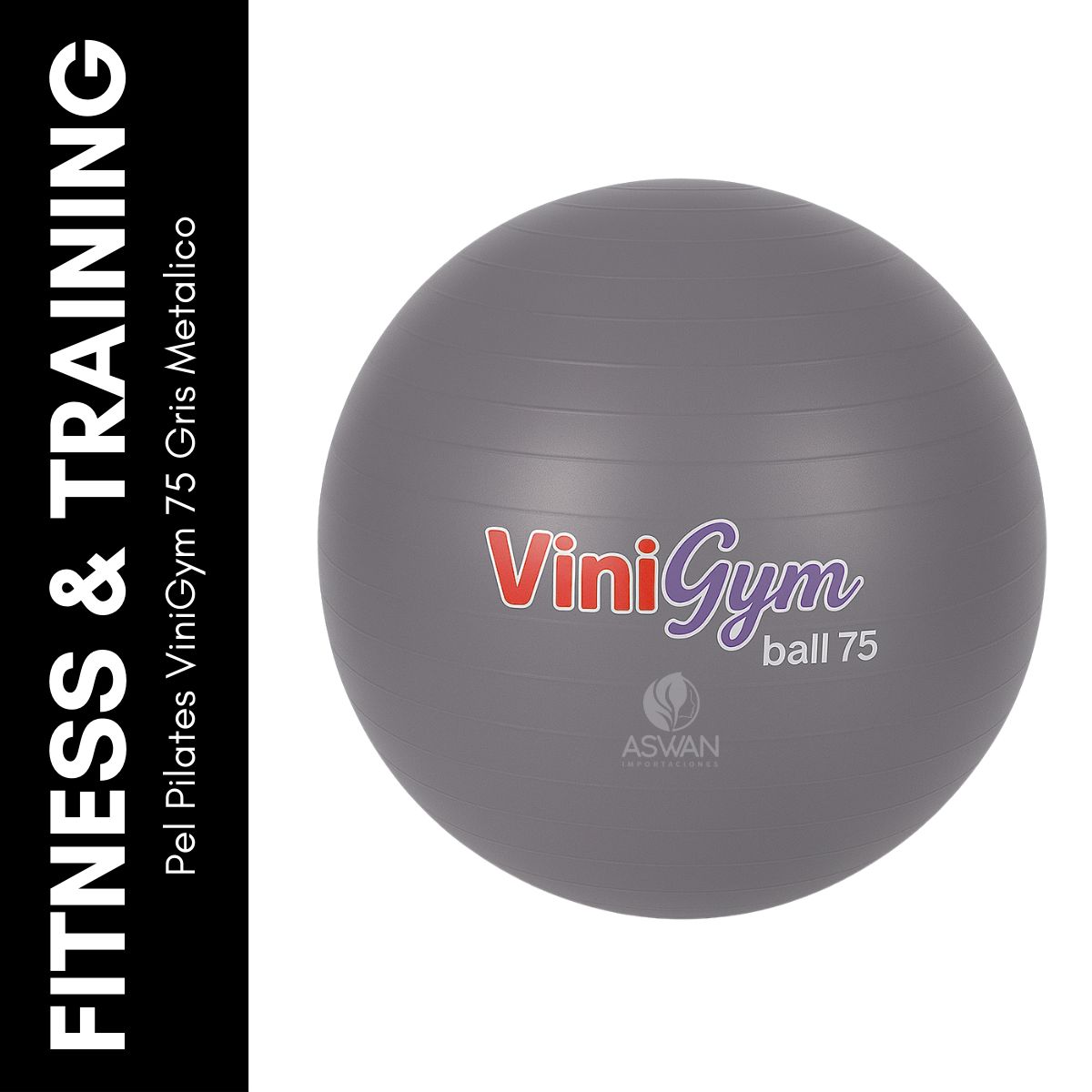GENERICO - Pelota Pilates ViniGym 75 Gris Metalico