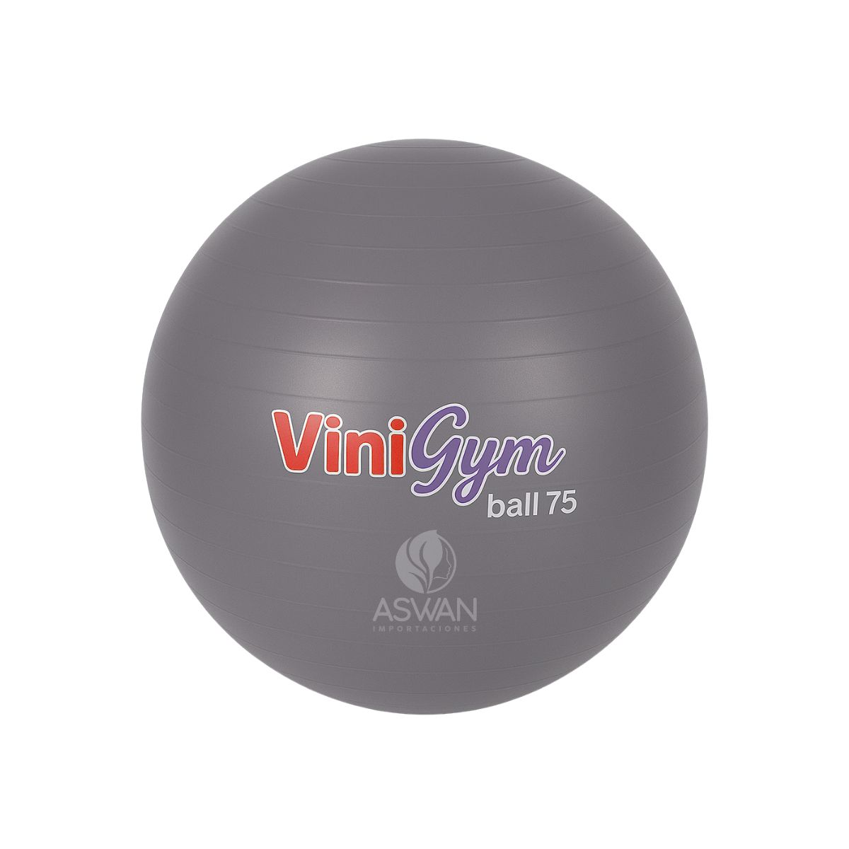 GENERICO - Pelota Pilates ViniGym 75 Gris Metalico