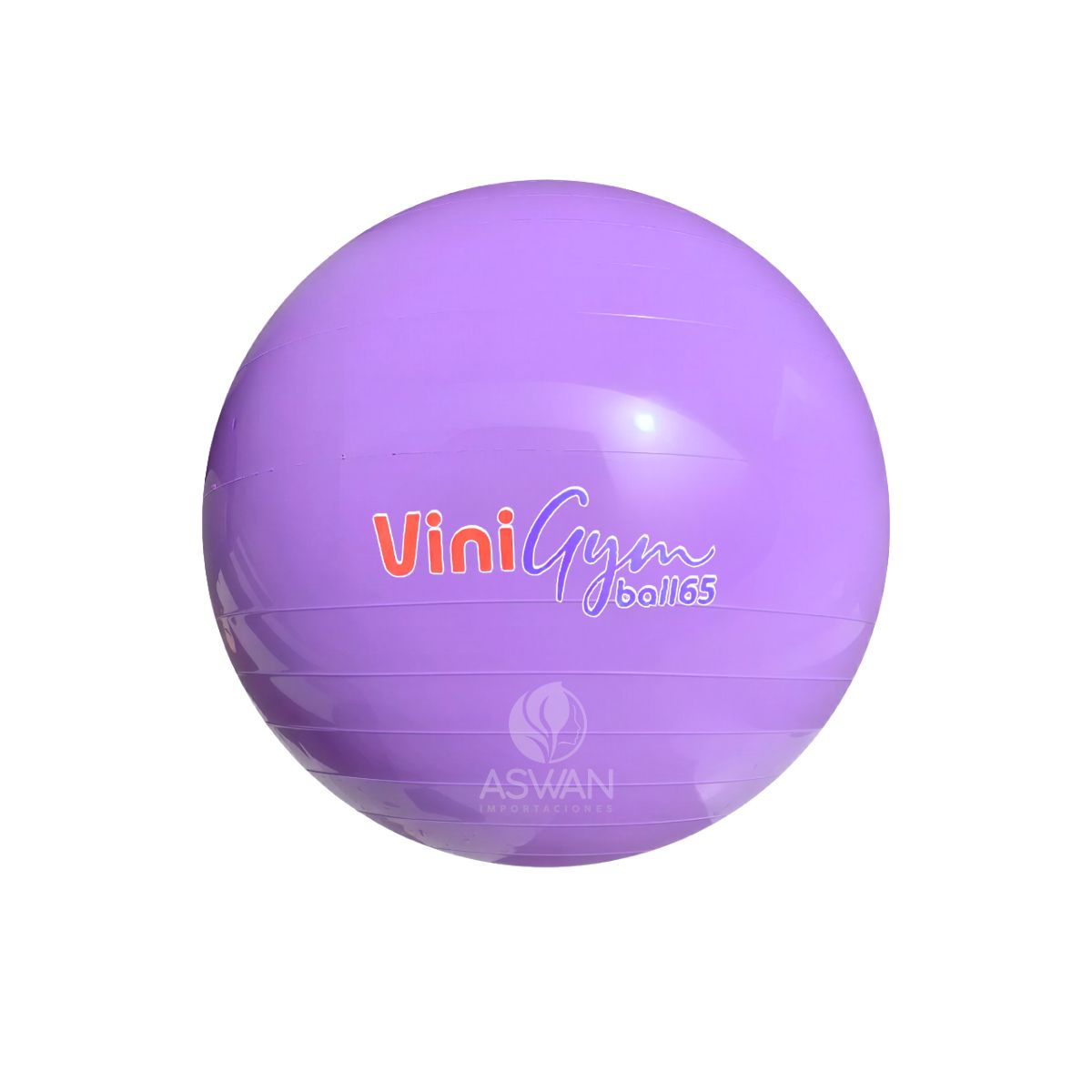 GENERICO - Pelota  Pilates ViniGym 65 Lila