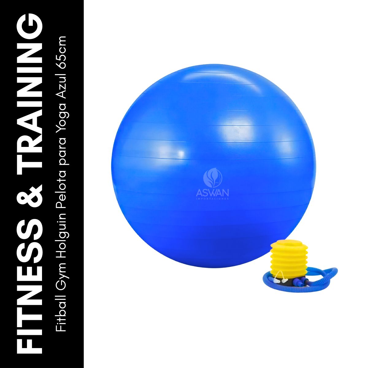 GENERICO - Fitball Gym Holguin Pelota para Yoga Azul 65 cm