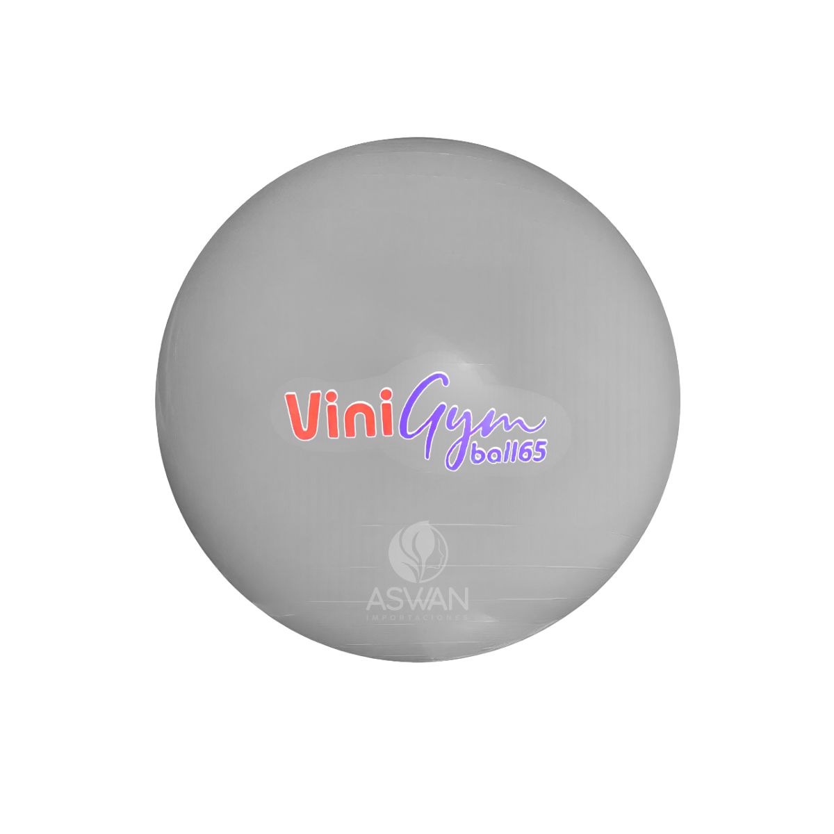 GENERICO - Pelota Pilates ViniGym 65 Gris