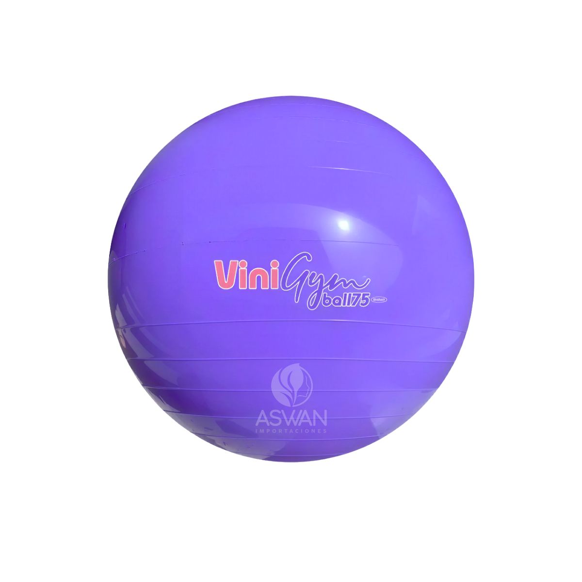 GENERICO - Pelota Pilates ViniGym 75 Morado