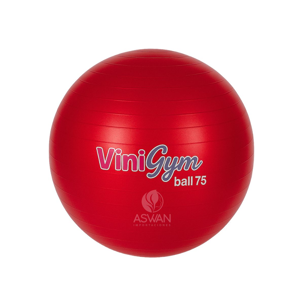 GENERICO - Pelota Pilates ViniGym 75 Rojo Metalico