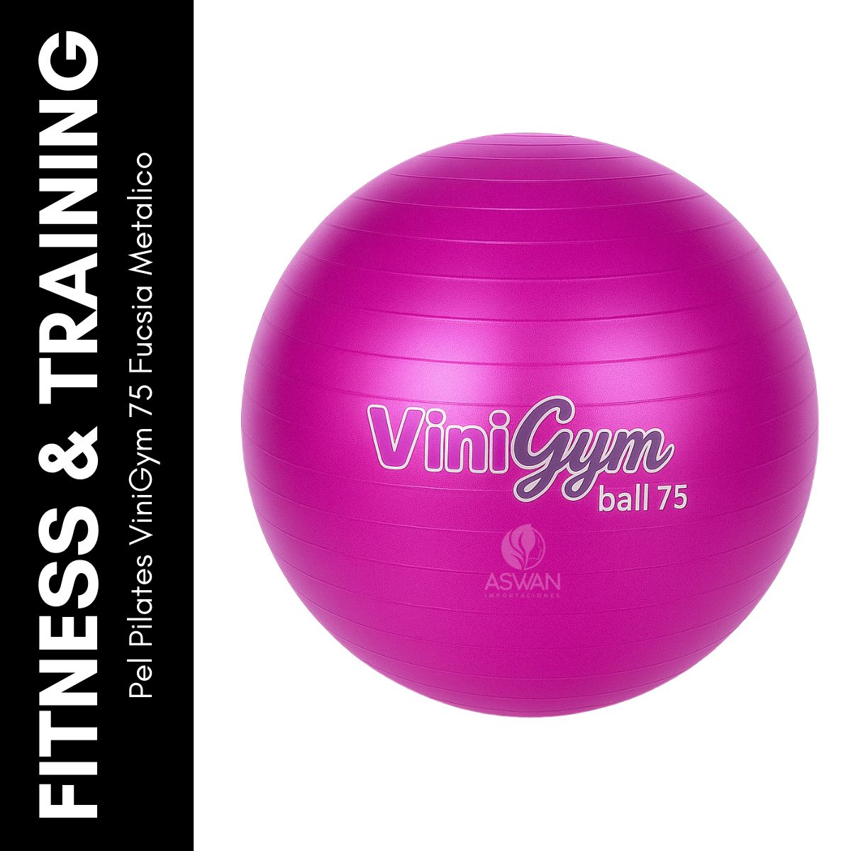 GENERICO - Pelota Pilates ViniGym 75 Fucsia Metalico