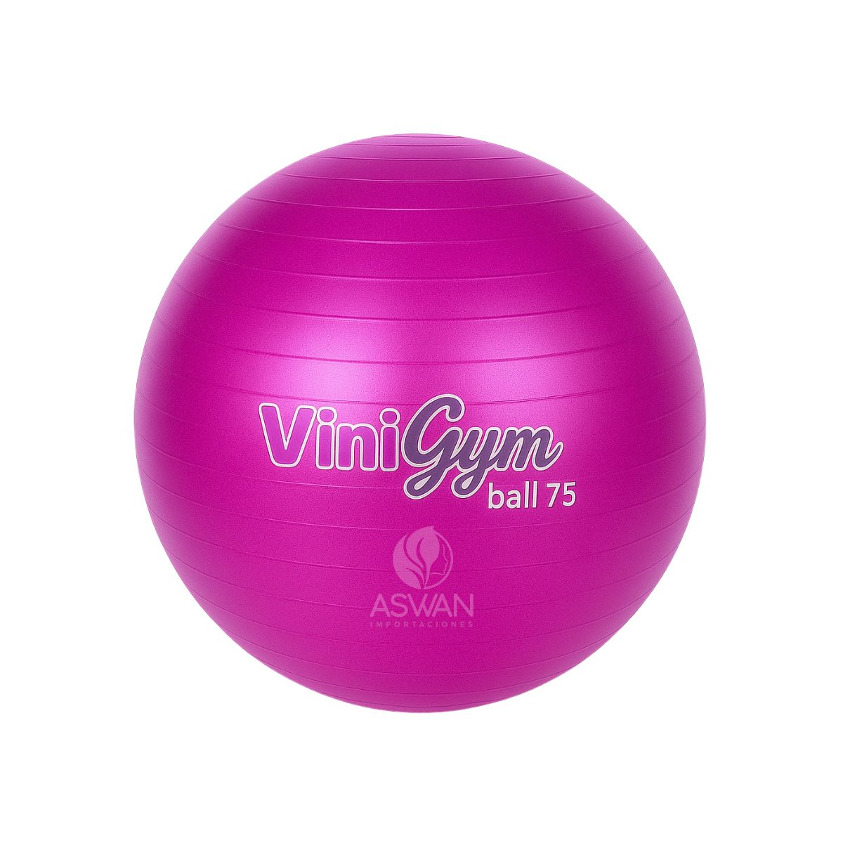 GENERICO - Pelota Pilates ViniGym 75 Fucsia Metalico