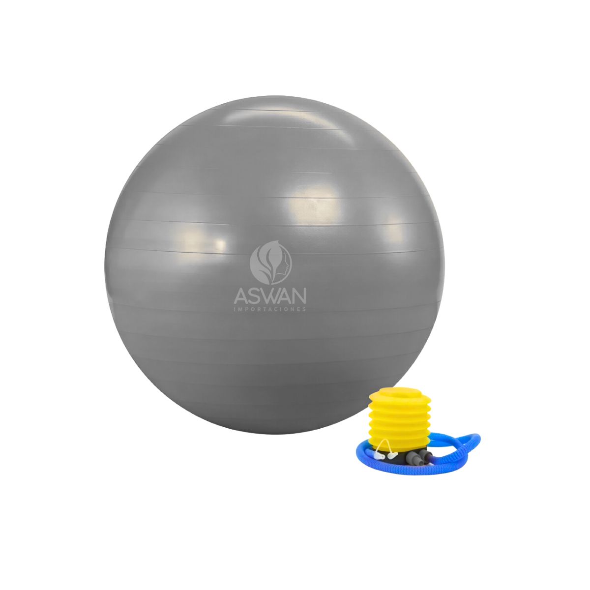 GENERICO - Fitball Gym Holguin Pelota para Yoga Gris 75 cm