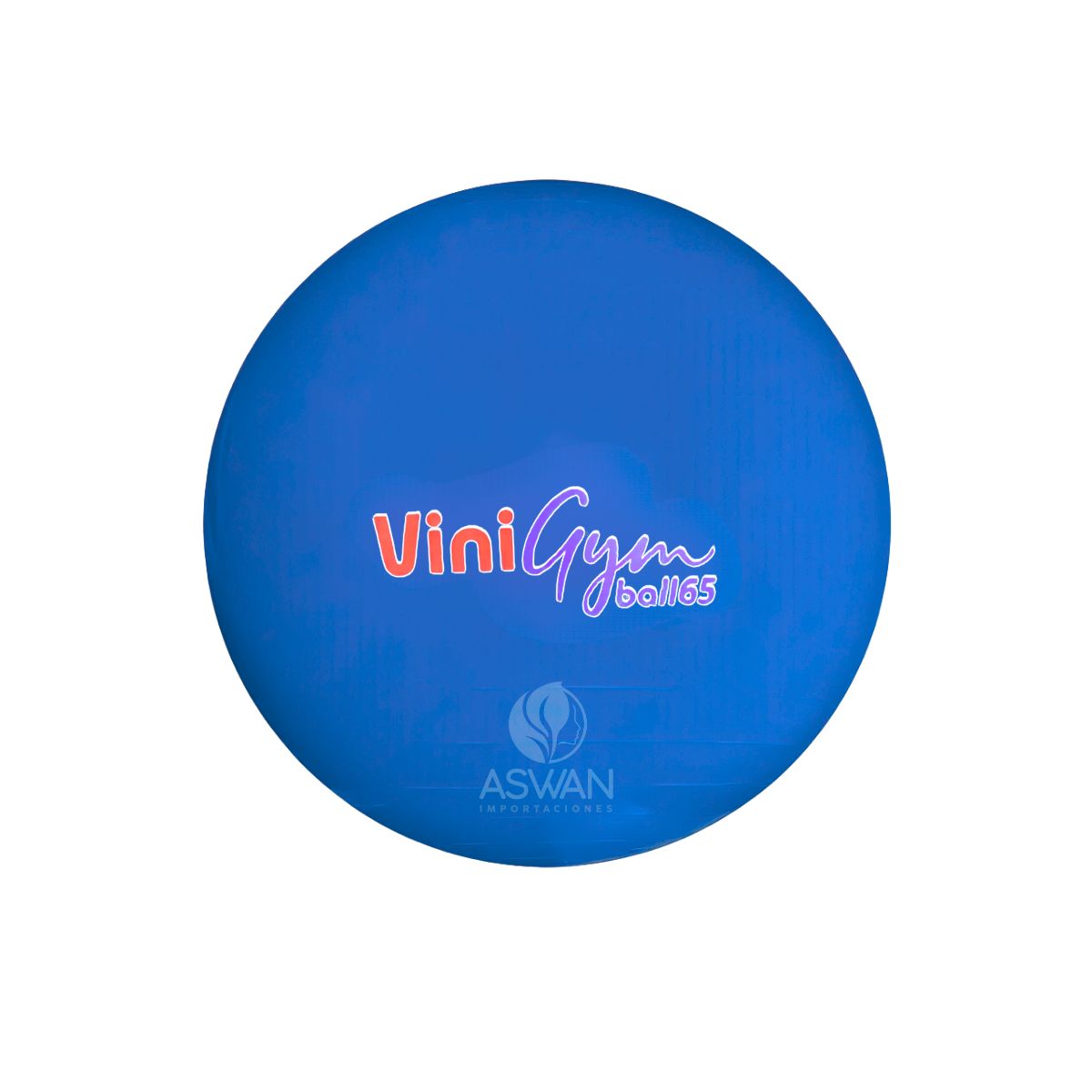 GENERICO - Pelota Pilates ViniGym 65 Azul
