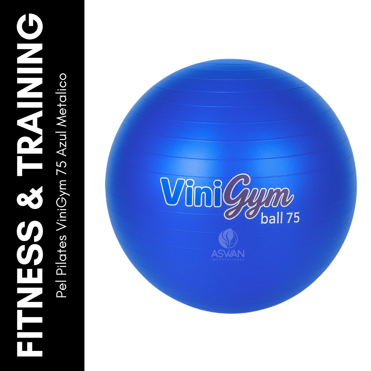 GENERICO - Pelota Pilates ViniGym 75 Azul Metalico