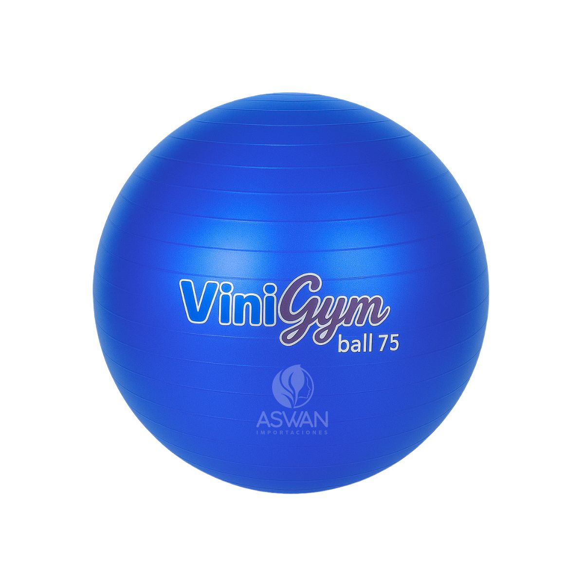 GENERICO - Pelota Pilates ViniGym 75 Azul Metalico