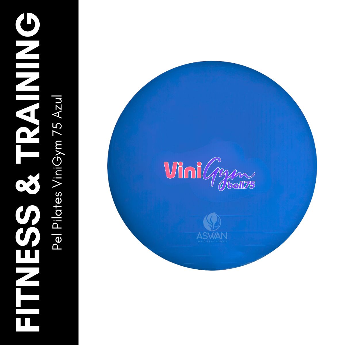 GENERICO - Pelota Pilates ViniGym 75 Azul