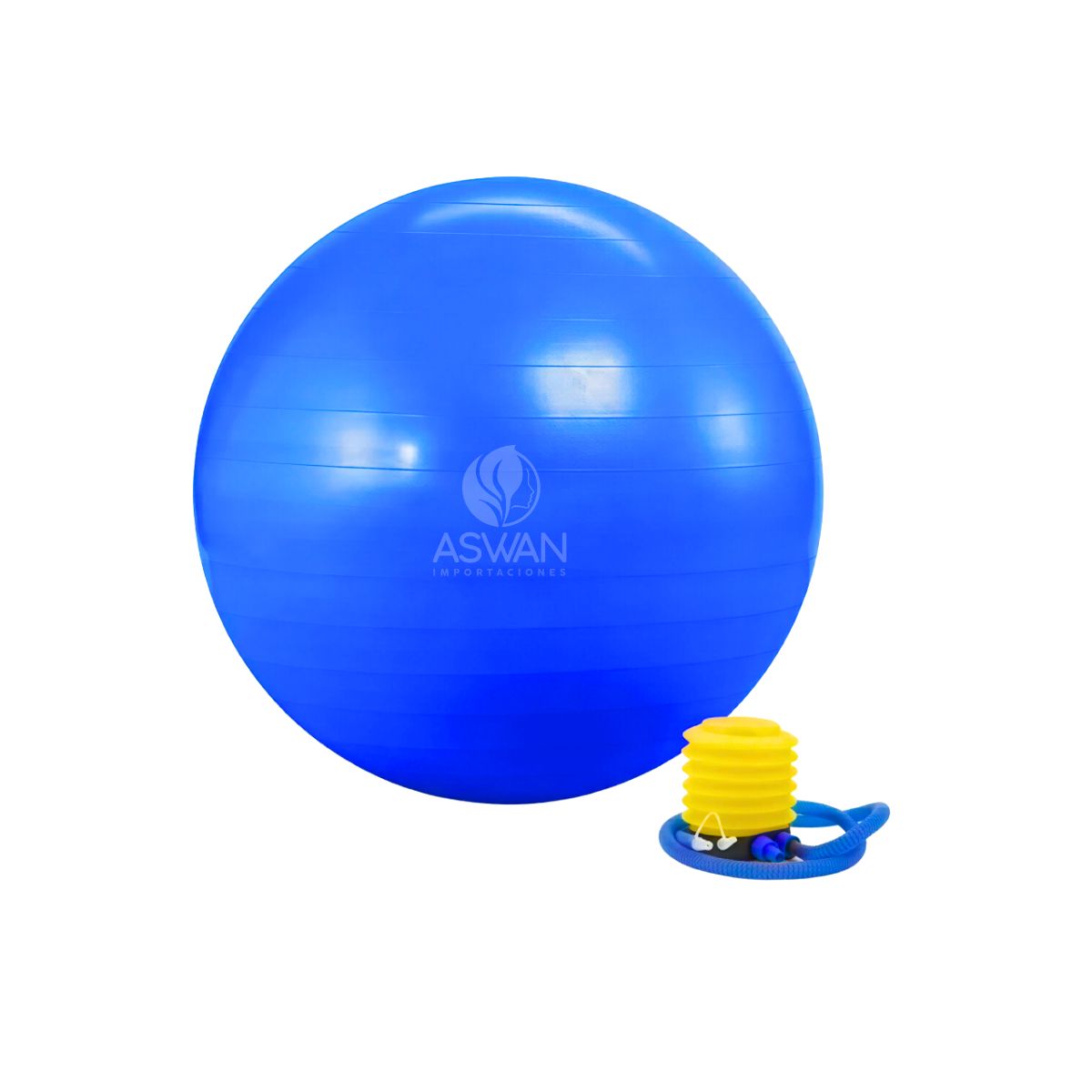 GENERICO - Fitball Gym Holguin Pelota para Yoga Azul 75 cm