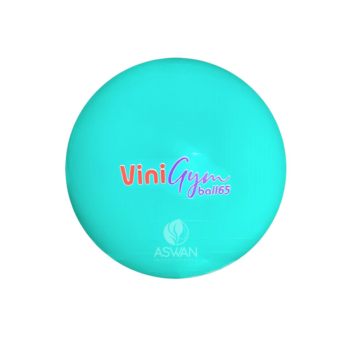GENERICO - Pelota Pilates ViniGym 65 Celeste