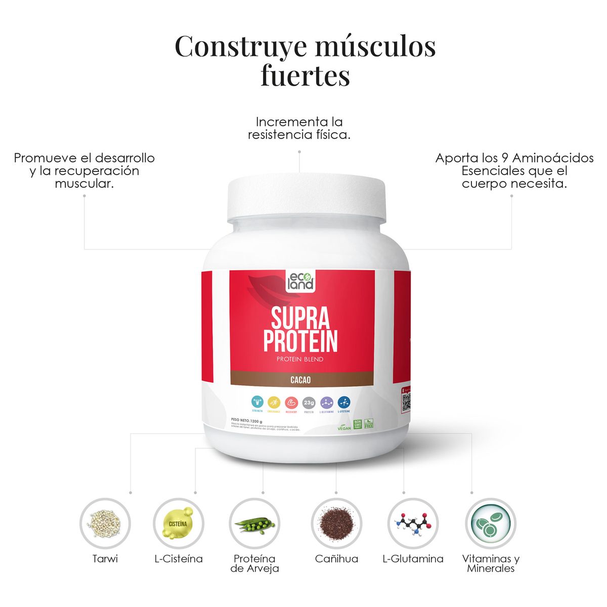 ECOLAND - ECOLAND SUPRA PROTEIN - PROTEINA VEGETAL- POMO 1200G CHOCOLATE