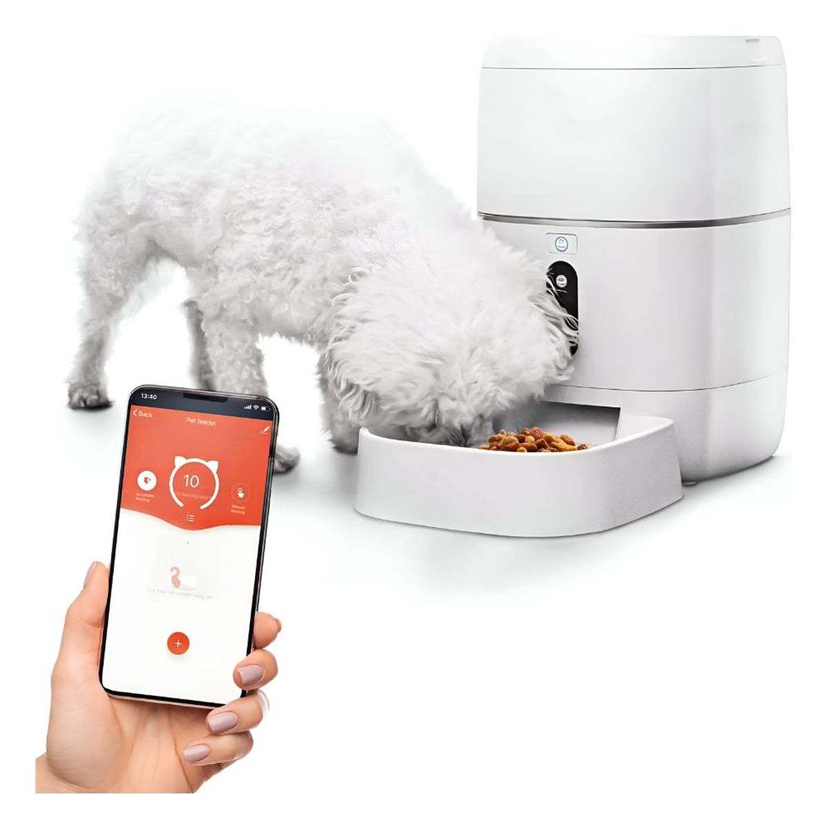 GENERICO - Alimentador automático para mascotas ‍