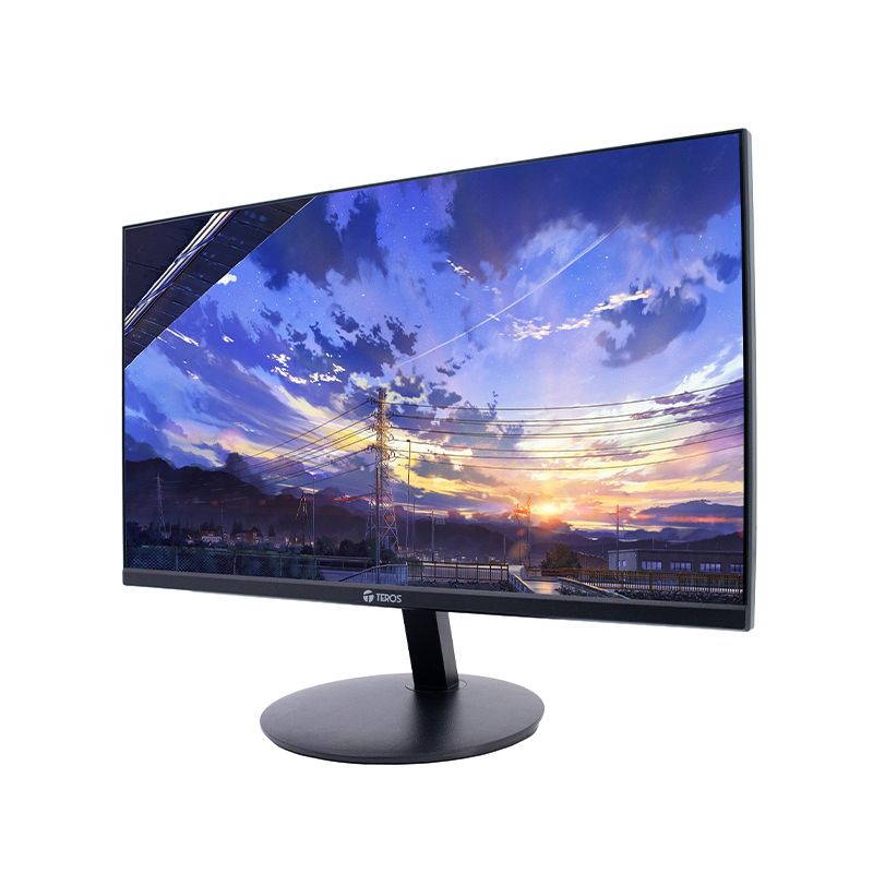 TEROS - Monitor 100HZ 5MS IPS 215 TEROS 1920x1080 Full HD HDMI VGA VESA