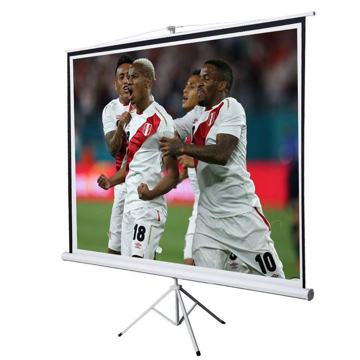 NEO DIGITAL - Pantalla Ecran Trípode 84 Pulgadas 1.71×1.28m