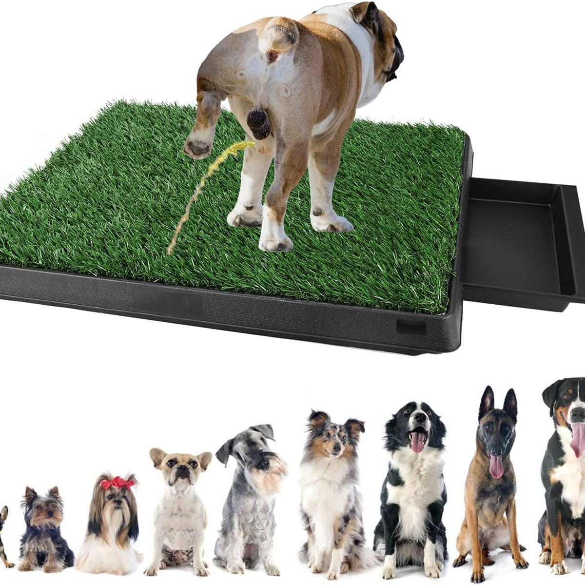 GENERICO - BAÑO ECOLÓGICO PORTÁTIL CON CÉSPED PARA PERROS M