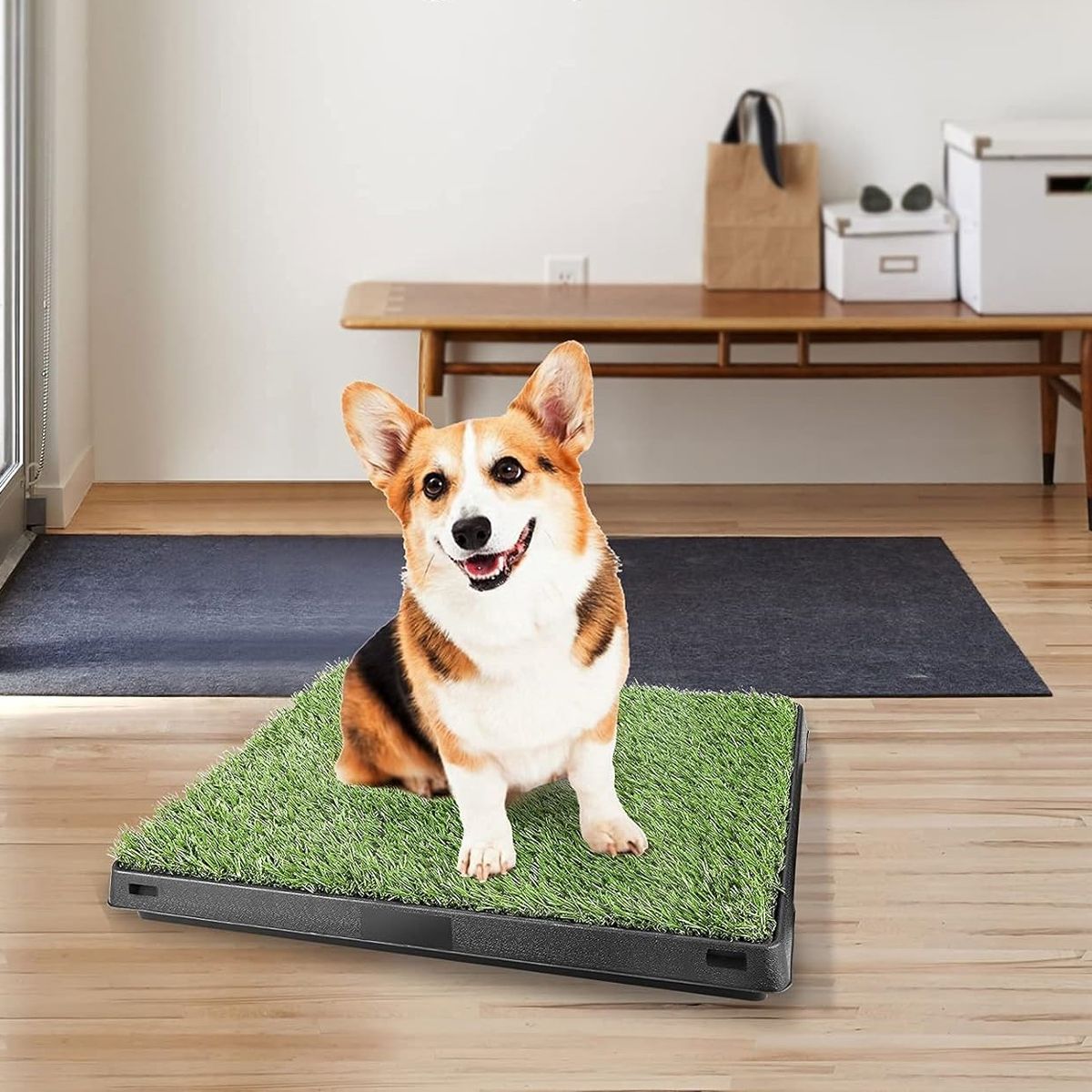 GENERICO - BAÑO ECOLÓGICO PORTÁTIL CON CÉSPED PARA PERROS M