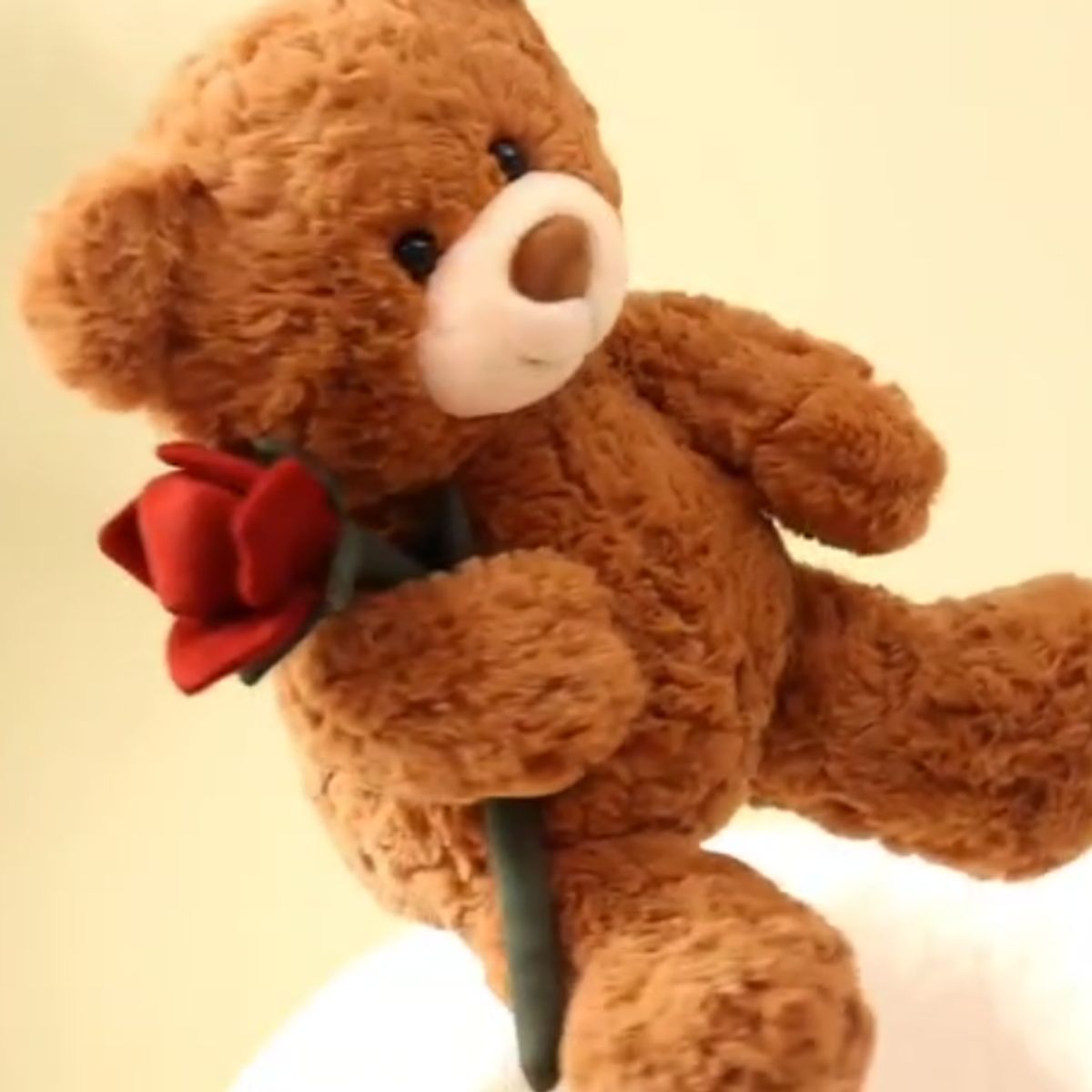 GENERICO - OSO DE PELUCHE MICHI BEAR