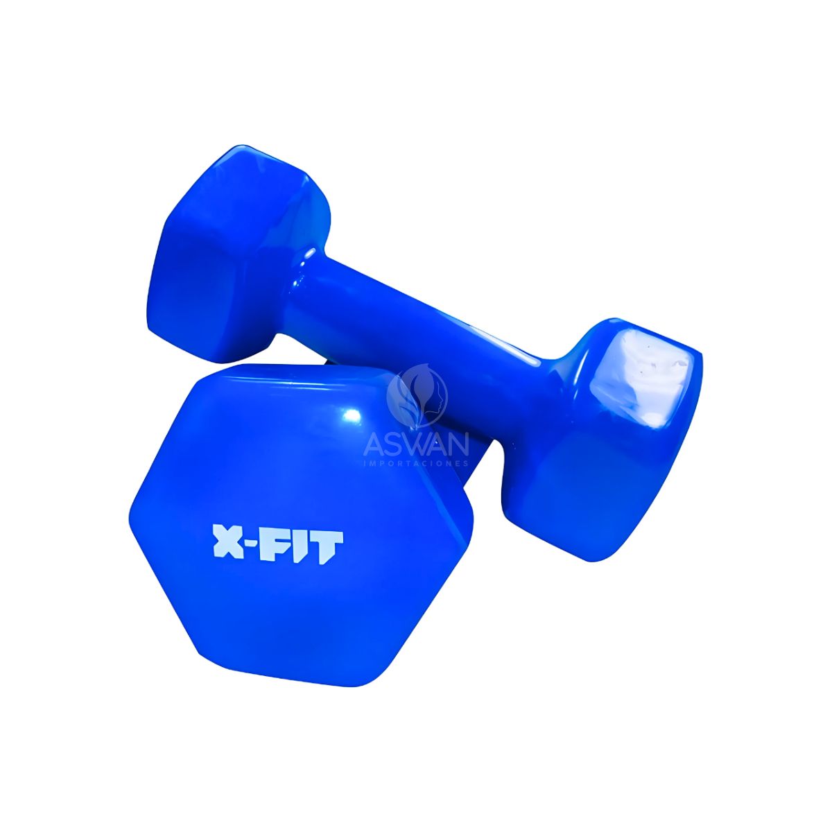 GENERICO - Mancuernas Plastificadas 5 kg Azul - XFIT