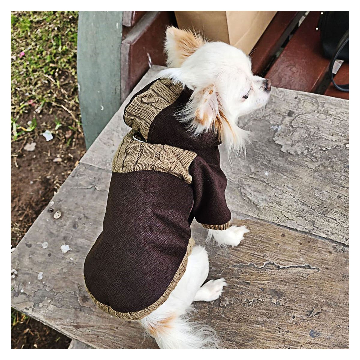 GENERICO - CASACA MARRÓN CON CAPUCHA POLAR PARA PERRO GATO TALLA XS