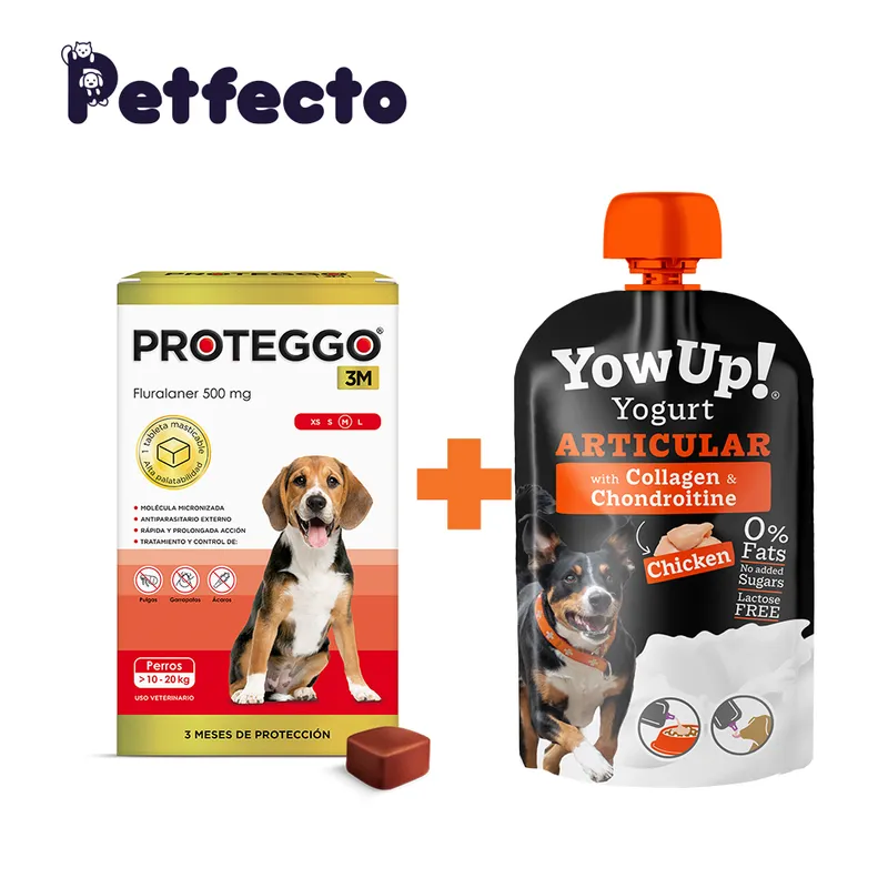 PROTEGGO - ANTIPULGAS PARA PERROS - 3 MESES (>10 – 20 kg.) +1 YOGURT ARTICULAR