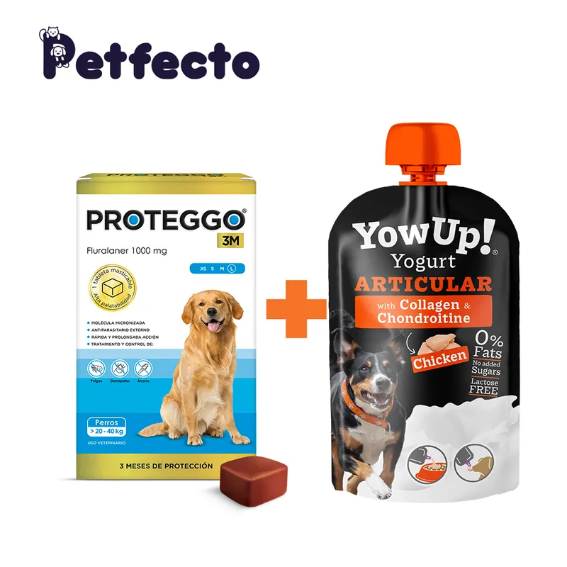PROTEGGO - PROTEGGO 3M (>20 – 40 kg.) ANTIPULGAS PARA PERROS +1 YOGURT ARTICULAR