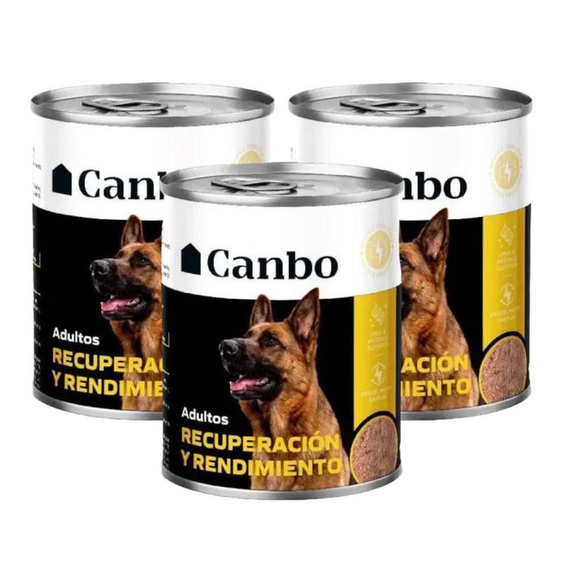 CANBO - Pate Canbo Perro Adulto Recuperacion y Rendimiento 330g x3