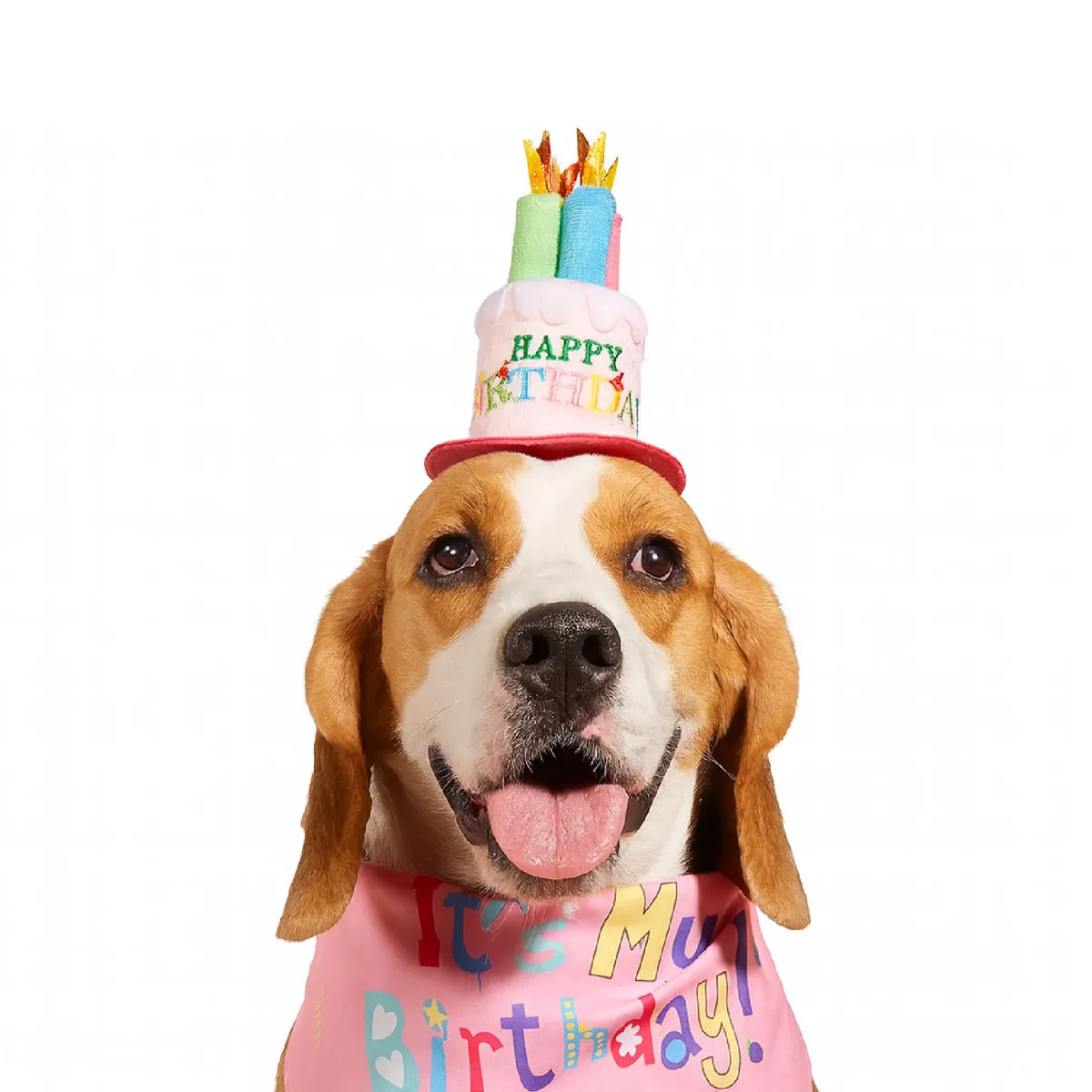 CAT OH - Gorro de Cumpleaños - Rosado