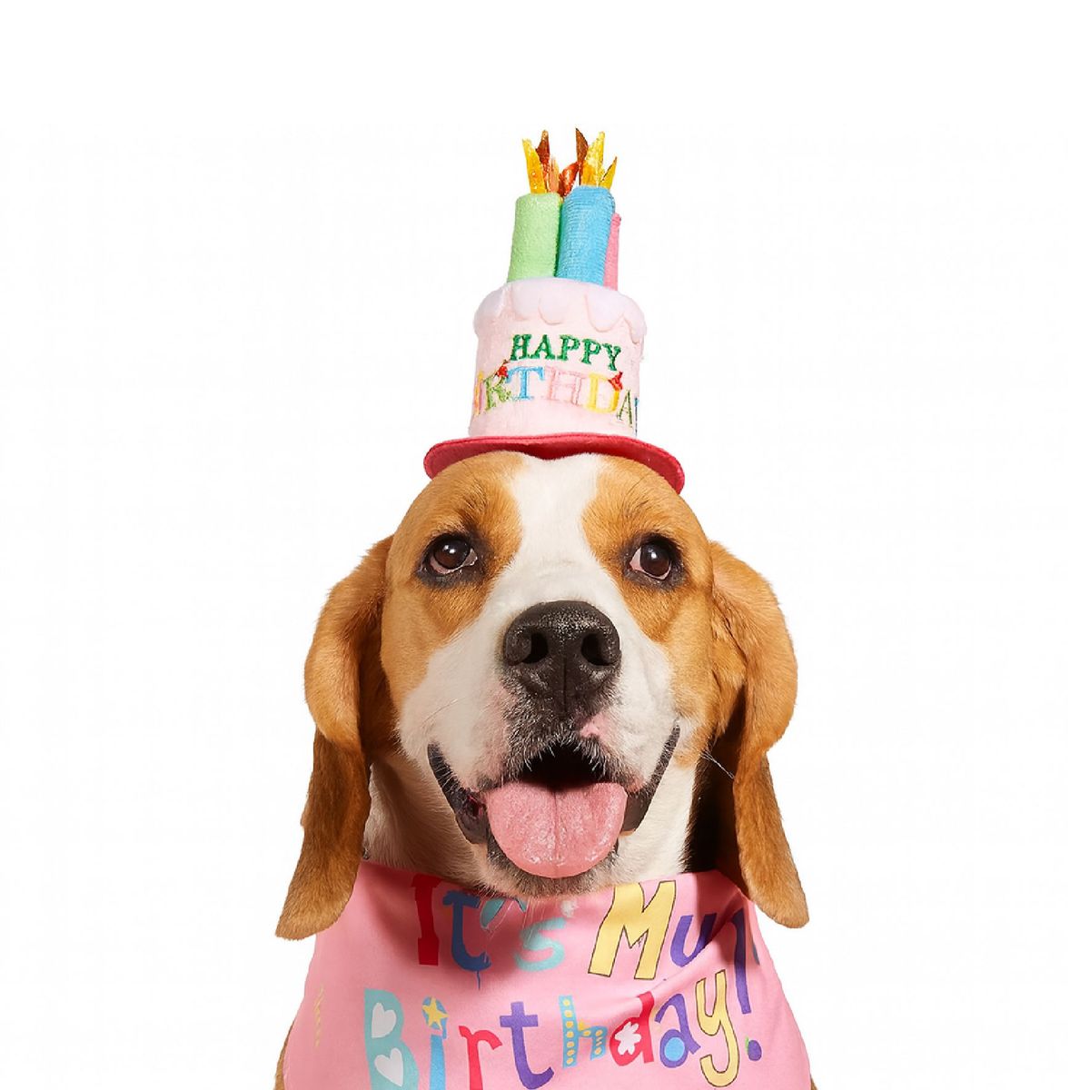 CAT OH - Gorro de Cumpleaños - Rosado