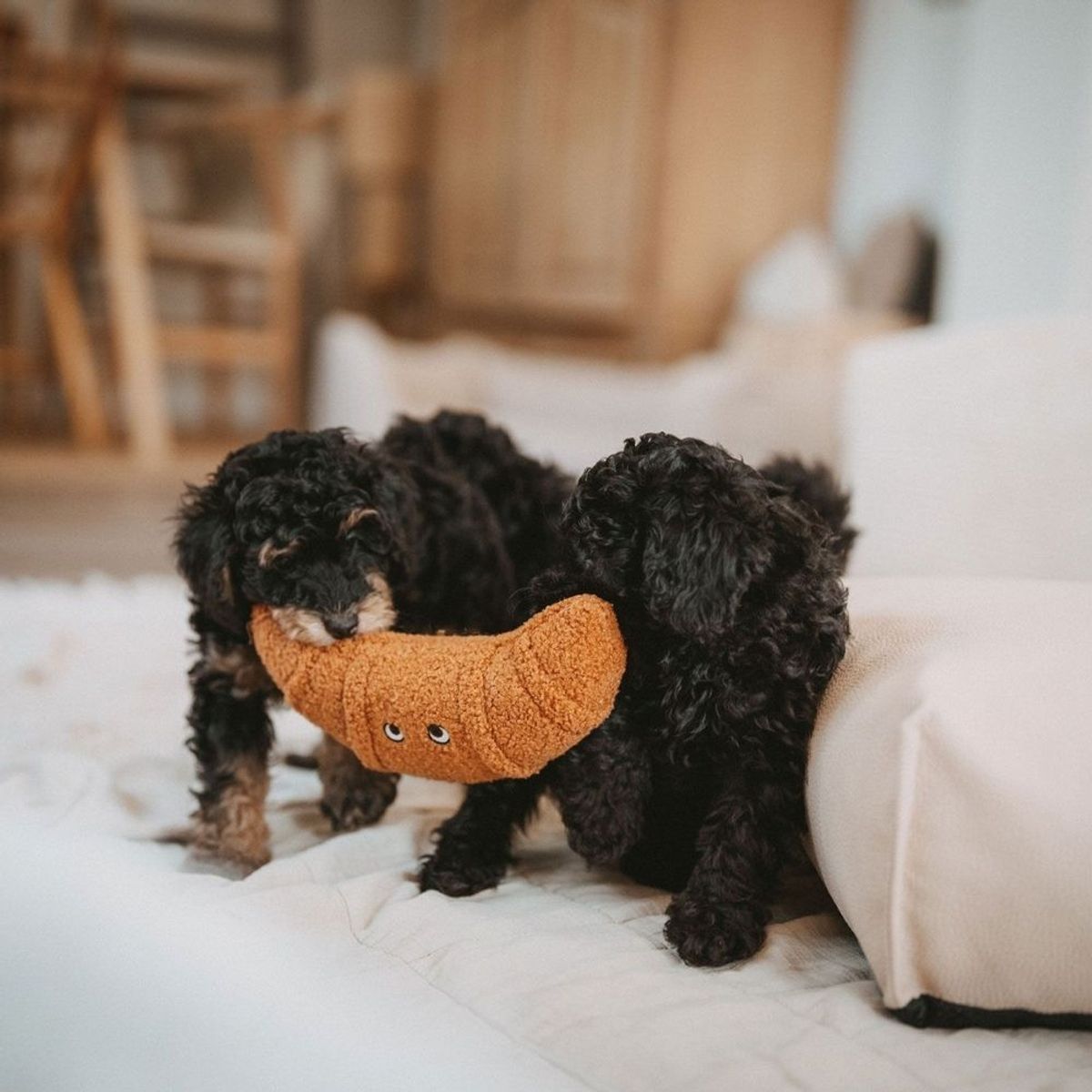HUNTER - Hunter Juguete para Perro Belem Croissant
