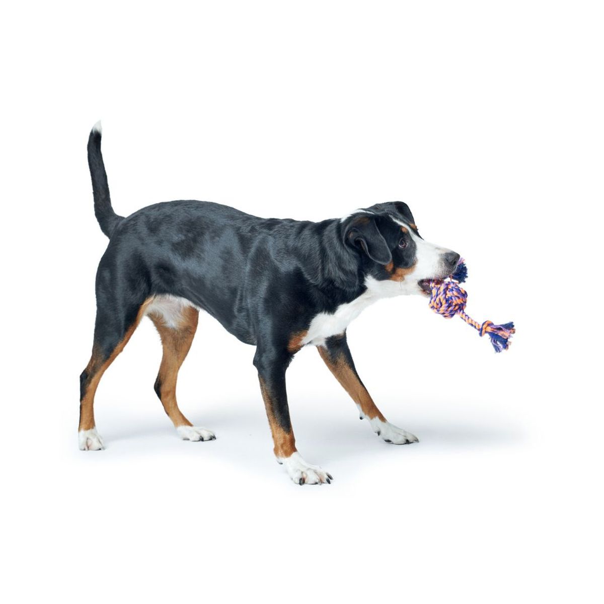 HUNTER - Hunter Juguete para Perro Jena Ball with Rope 33 cm
