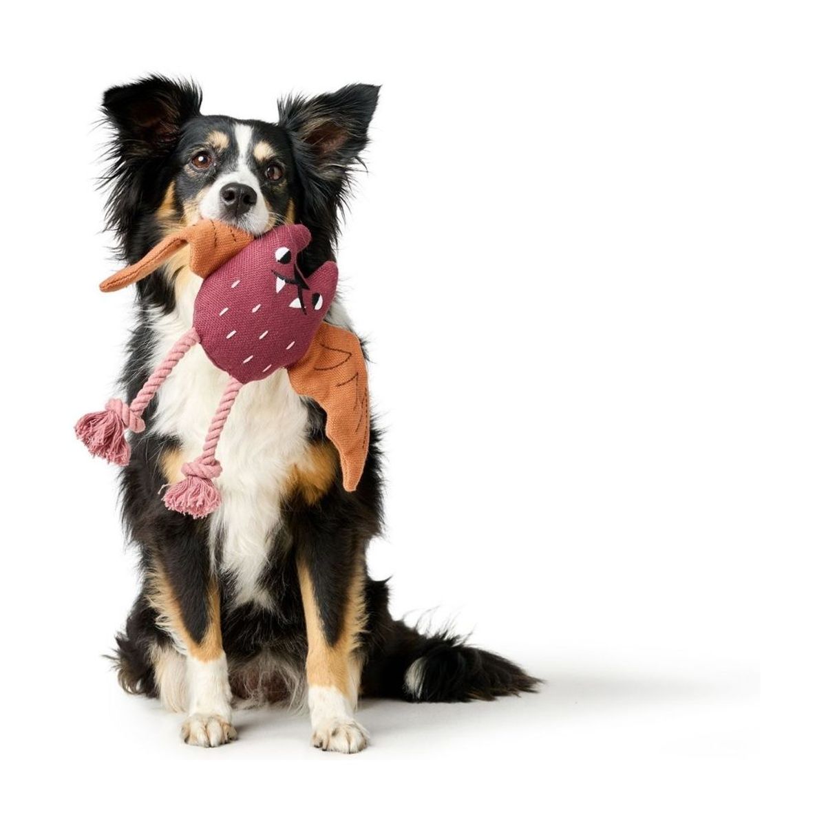 HUNTER - Hunter Juguete para Perro Rio Bat