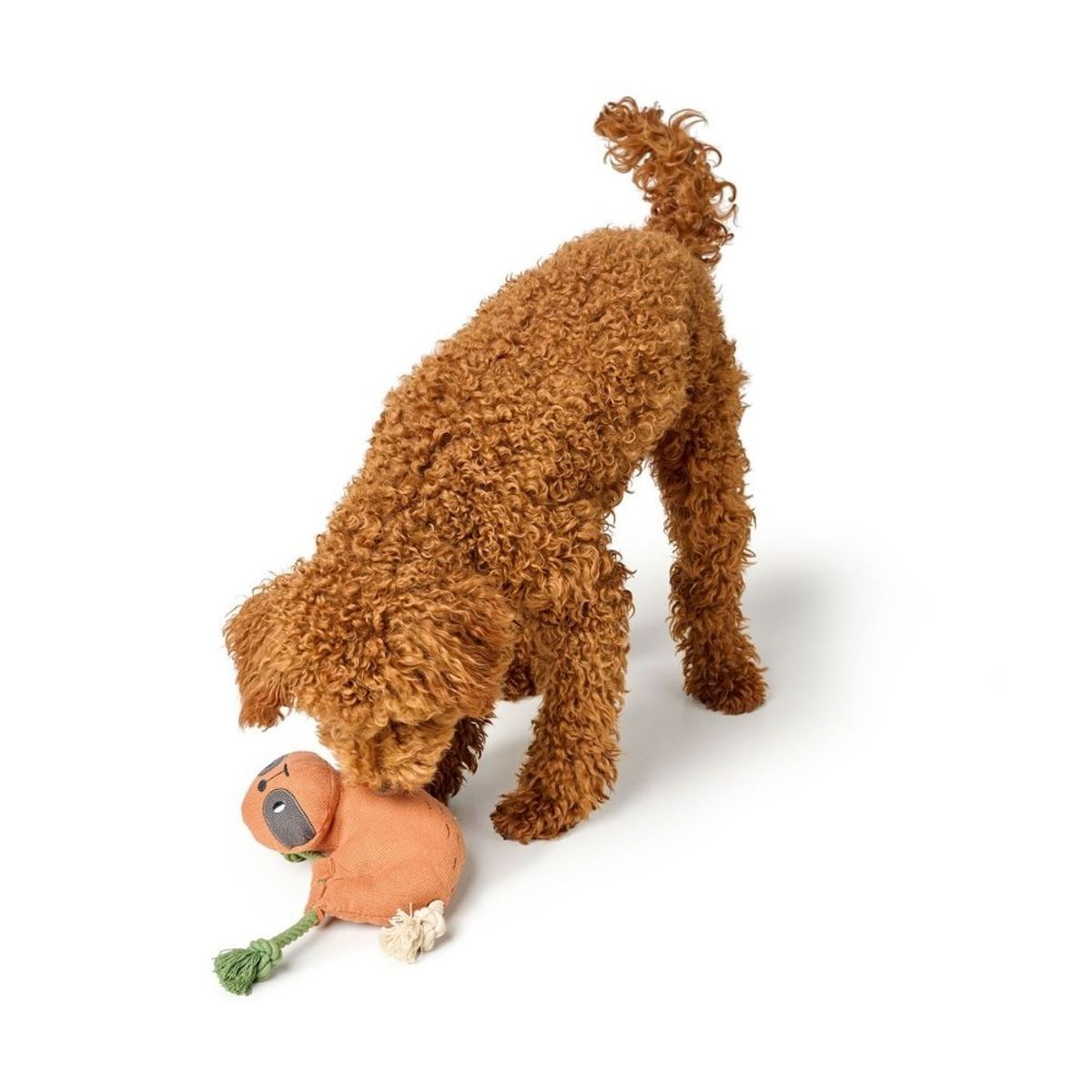 HUNTER - Hunter Juguete para Perro Rio Sloth