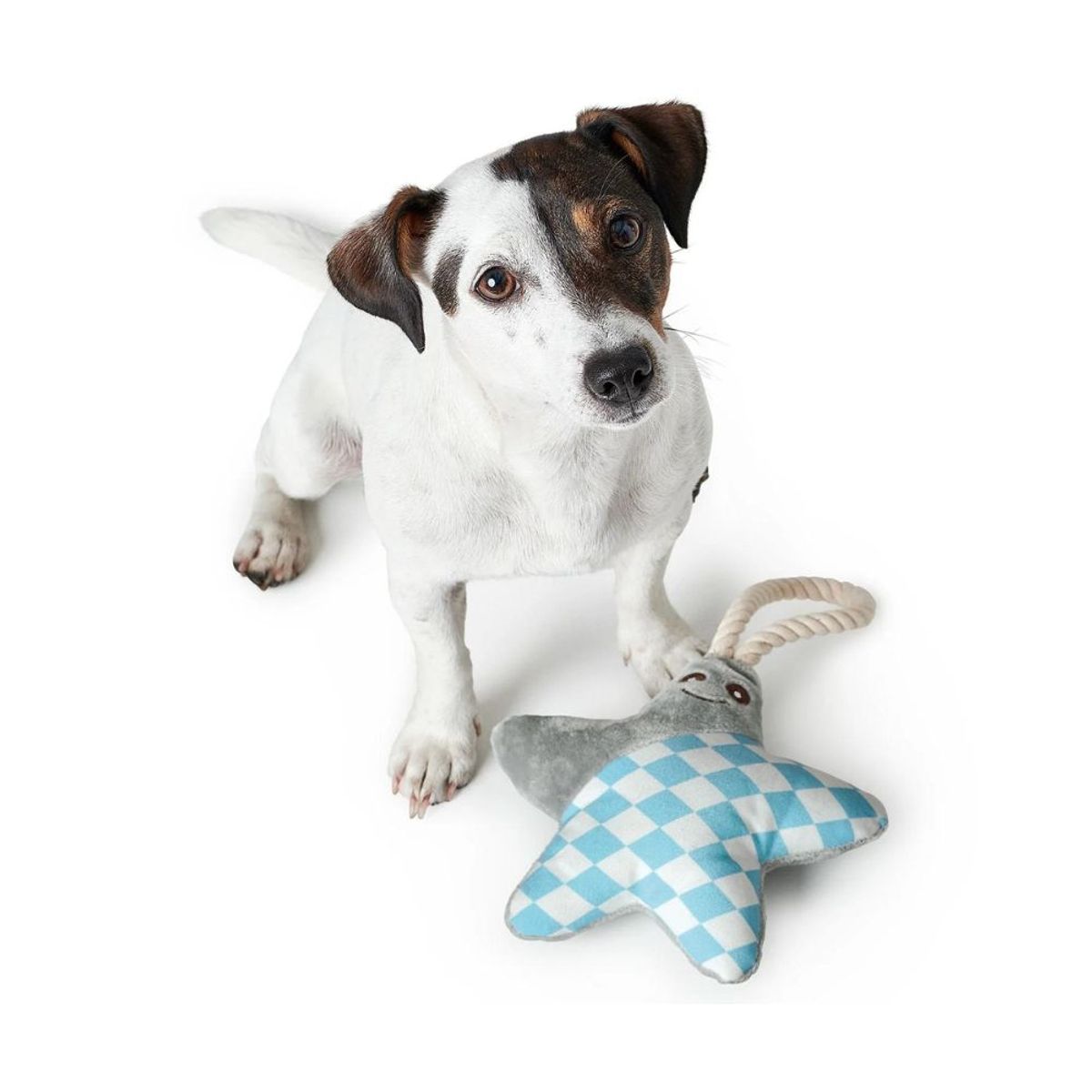 HUNTER - Hunter Juguete para Perro Salima Star Gris