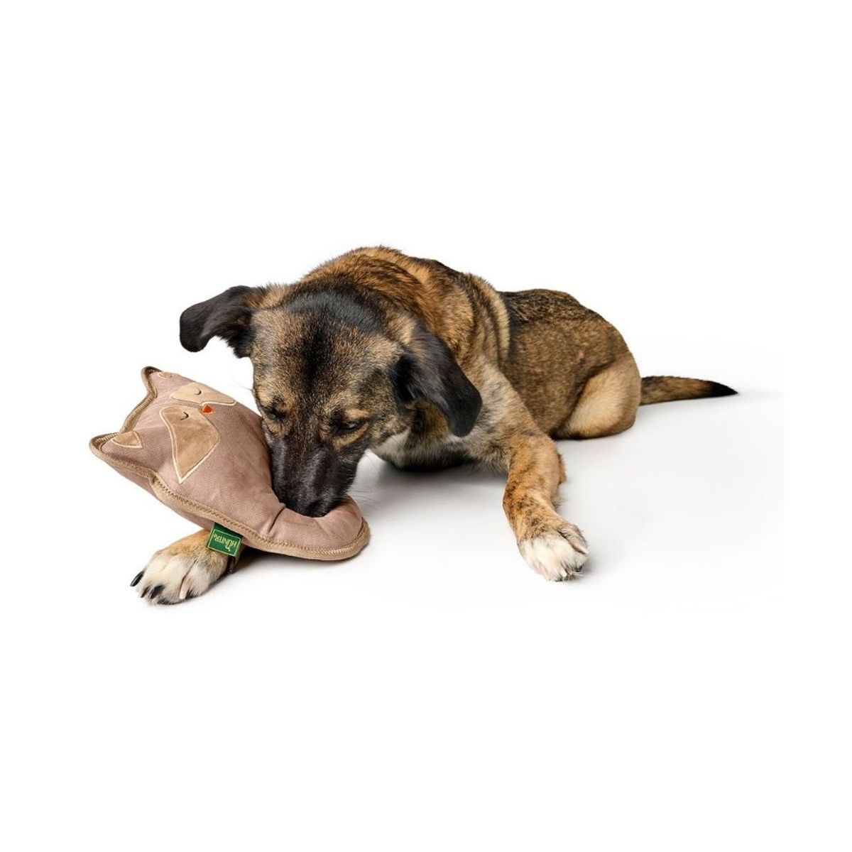 HUNTER - Hunter Juguete para Perro Tough Tundra Raccoon