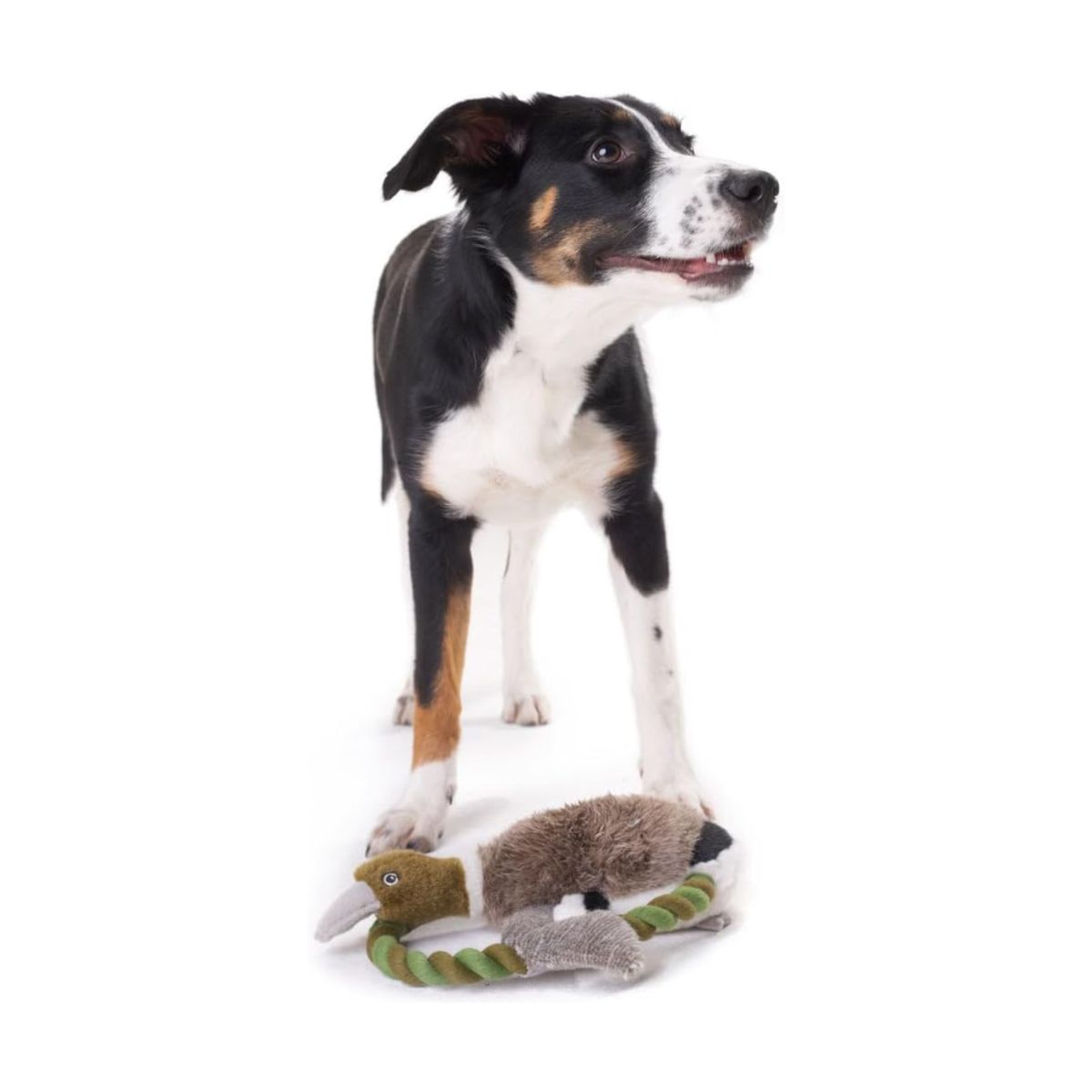 HUNTER - Hunter Juguete para Perro Wildlife Duck M